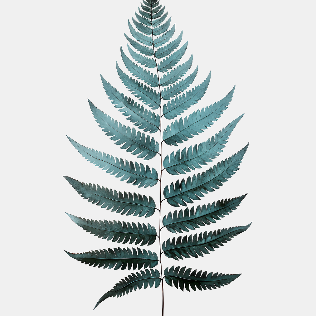 fern, leaf, green-8661202.jpg